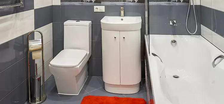 Hansgrohe Shaving Mirror Oshkosh